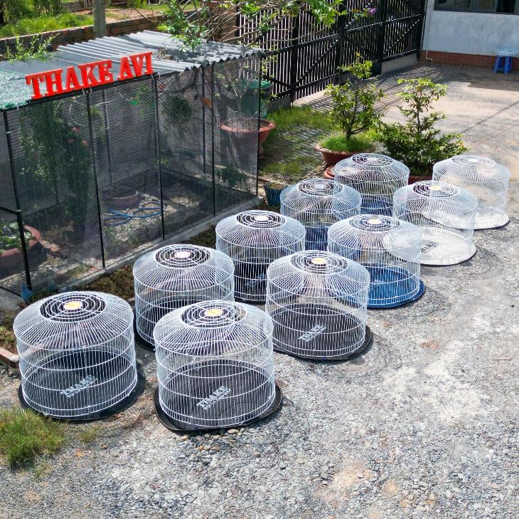 Bội VIP THAKE 1m nhúng nhựa